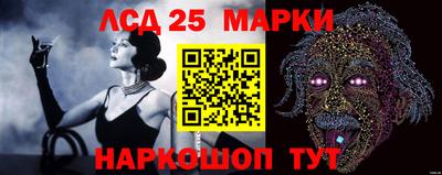 прущие крисы Камышлов