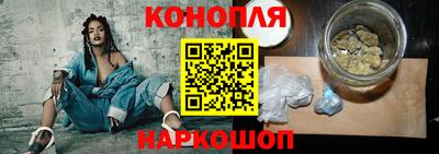 прущие крисы Камышлов