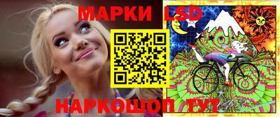 прущие крисы Камышлов