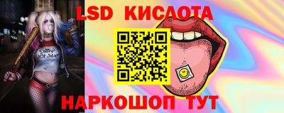 тгк Канаш