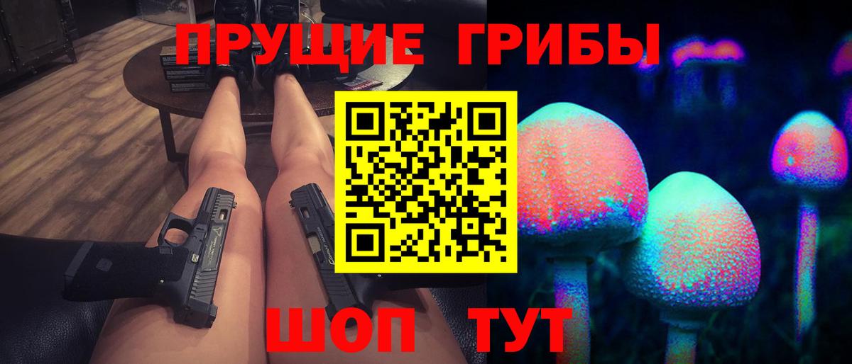 Красный Сулин  Псилоцибиновые грибы Psilocybine cubensis  Вход с VPN 